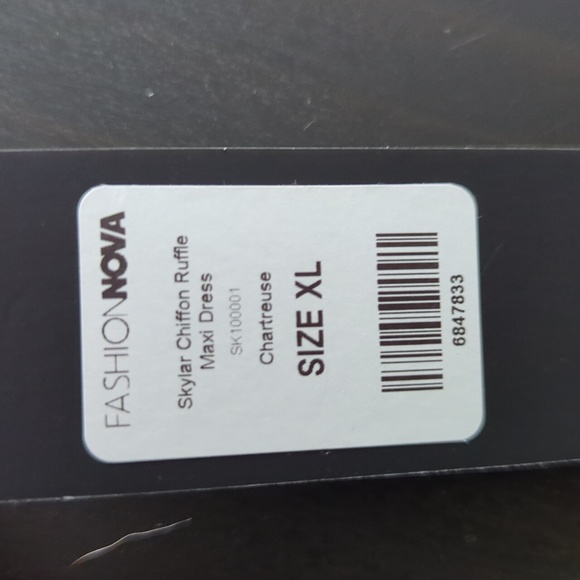 Skylar Chiffon Ruffle Maxi Dress - Picture 3 of 3